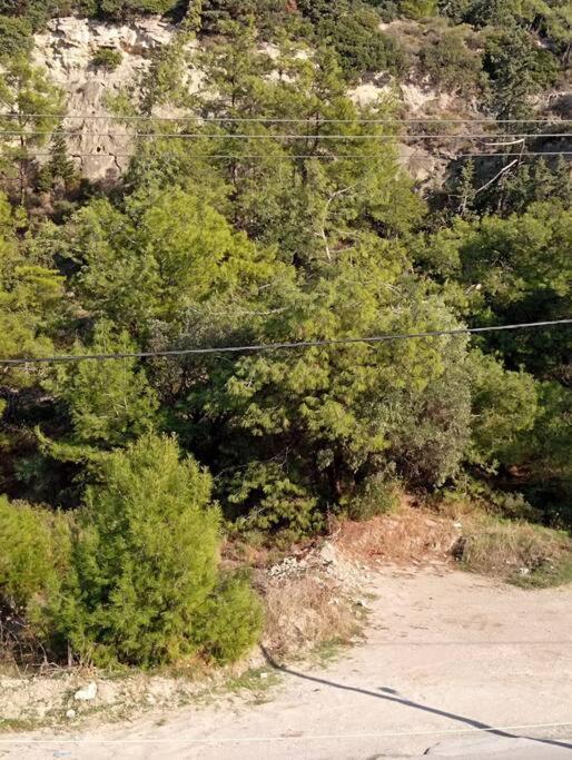 Sunny Mountain View With Free Parking Ixia (Rhodes)