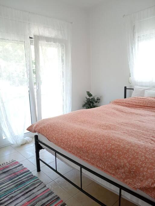 Apartment Sunny Mountain View With Free Parking