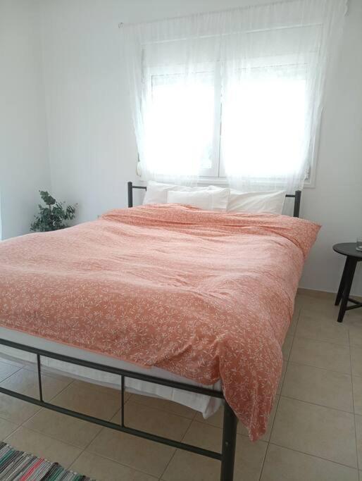 Sunny Mountain View With Free Parking Apartment *